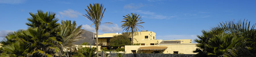 palmera casa tomaren